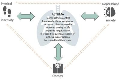 The Management of Extrapulmonary Comorbidities and Treatable Traits; Obesity, Physical Inactivity, Anxiety, and Depression, in Adults With Asthma
